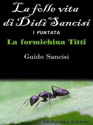 cover image of La folle vita di Didì Sancisi